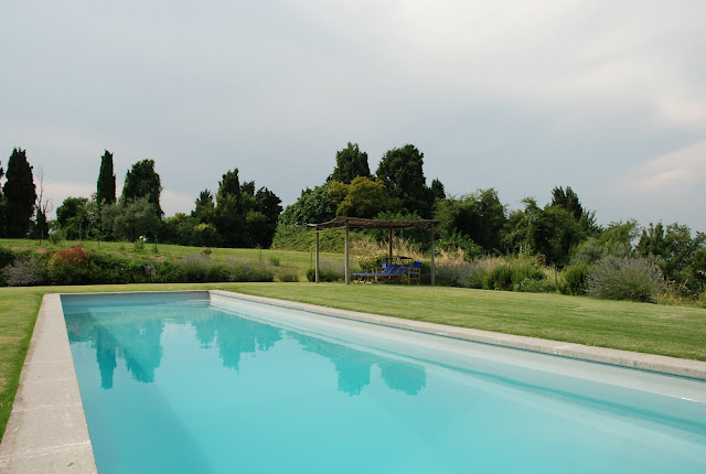 16-x-4-metre-swimming-pool.-the-area-is-fenced.-1